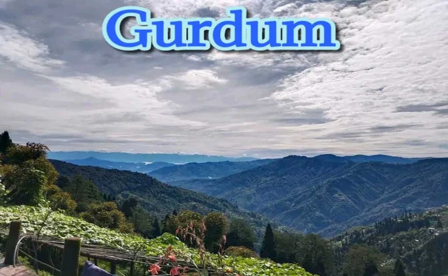 gurdum image