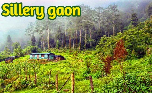 sillerygaon image